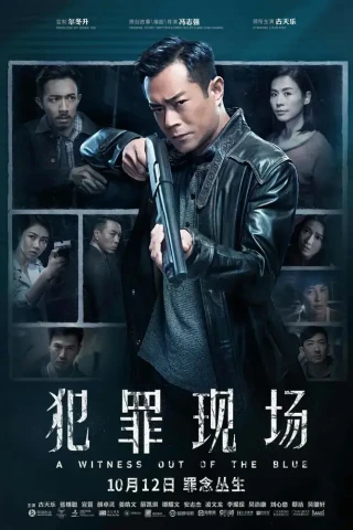 Неожиданный свидетель (2019)