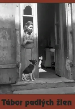 Лагерь падших женщин (1997)